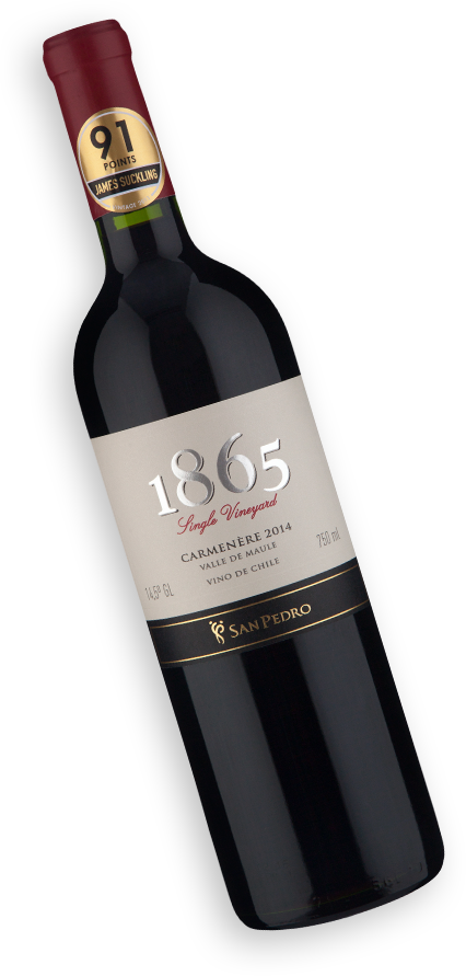 Viña San Pedro 1865 Single Vineyard Carmenère 2014 Wine Wine