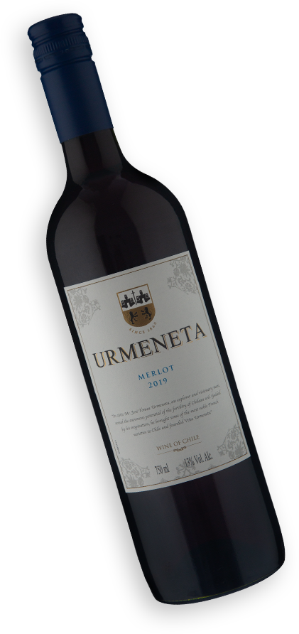 Urmeneta Merlot 2019 Wine Wine