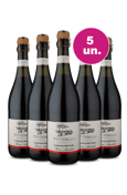 Kit 5 - Frisante Lambrusco Rosso - We Wine