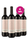 Kit 4 por 99 - Namorico Tinto