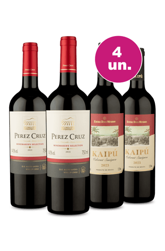 Kit 4 - Pérez Cruz Winemakers e Lançamento Kaipú