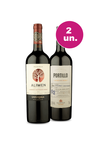 Kit Duo - Amizade Verdadeira é Amizade com Vinho!