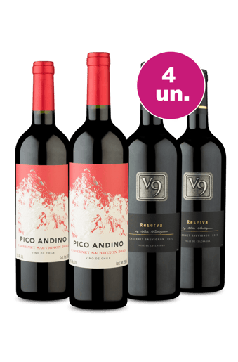 Kit 4 - Campeões de Vendas - Oferta Exclusiva We Wine