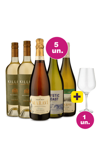 Kit 5 por 249 - Refrescantes + Taça Cristal Premium 765 mL Grátis