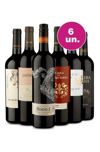 Kit 6 por 199 - Tintos Sommelier 