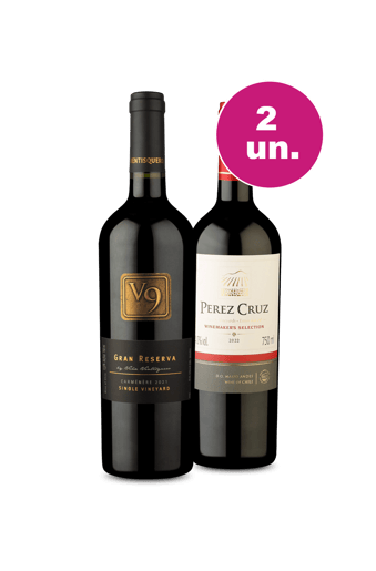 Kit 2 - V9 Gran Reserva e Pérez Cruz Winemakers - Oferta Flash