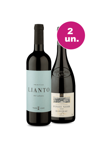 Kit 2 - Encontro de Campeões - Lianto Primitivo + Ropiteau Frère Pinot Noir