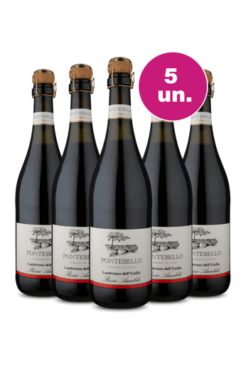 Kit 5 - Frisante Lambrusco Rosso - We Wine