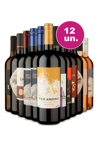 Kit 12 - 21,90 por Garrafa + Frete Grátis - Retrô IZ