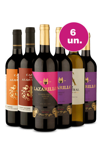 Kit 6 - Vinhos Mesclados 21,90 Por Garrafa - Melhor Oferta