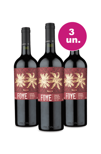 Kit 3 por R$99 - Foye, Foye, Foye!