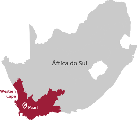 Mapa de Western Cape - África do Sul | Wine.com.br